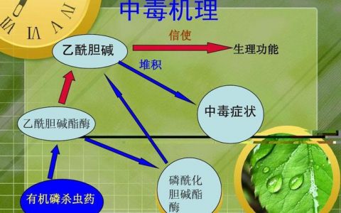 每日一题_2023.09.22