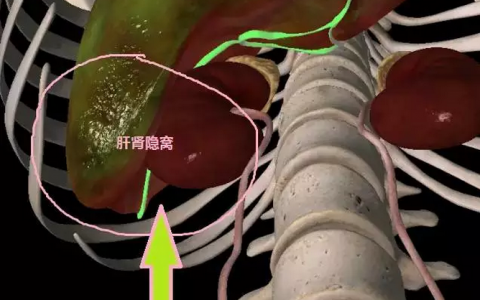 每日一题_2023.09.05