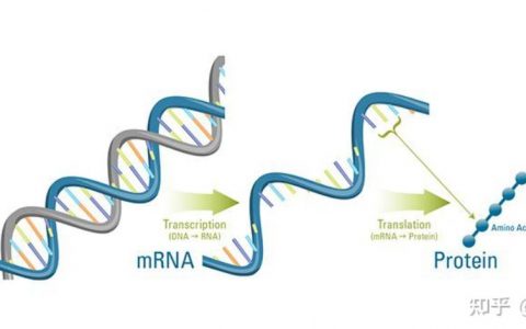 每日一题_2023.09.07
