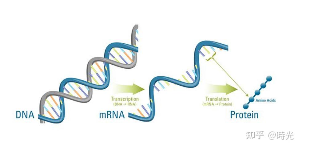 每日一题_2023.09.07