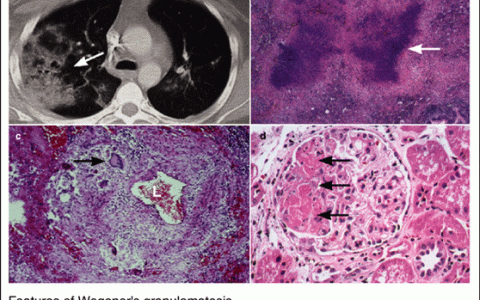 每日一题_2023.09.10