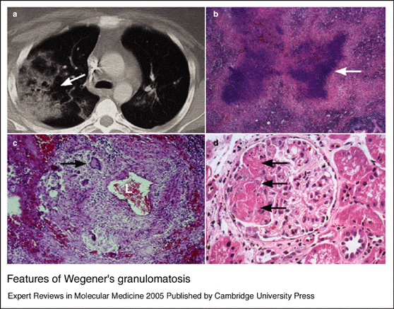 每日一题_2023.09.10
