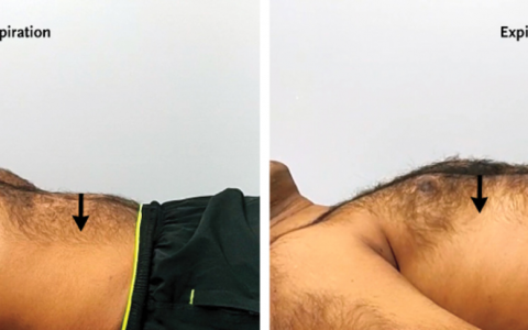 每日一题_2023.09.08