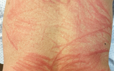 每日一题_2023.10.06