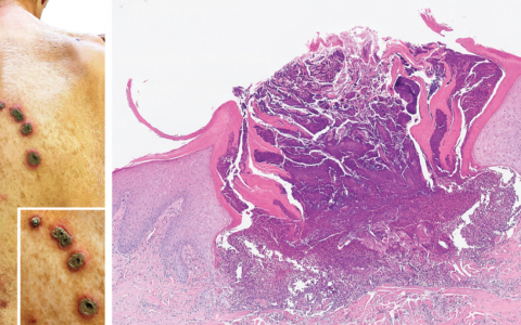 每日一题_2023.10.29