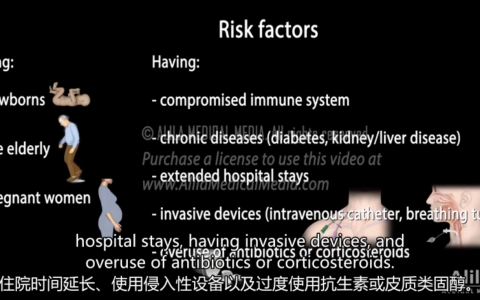 医学动画：脓毒症和感染性休克
