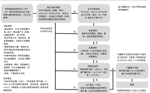ICUOnePage：呼吸机脱机流程