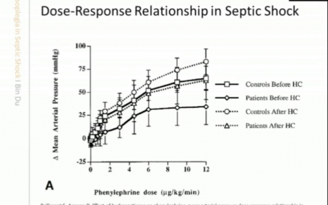 脓毒性休克血管低反应性_协和杜斌