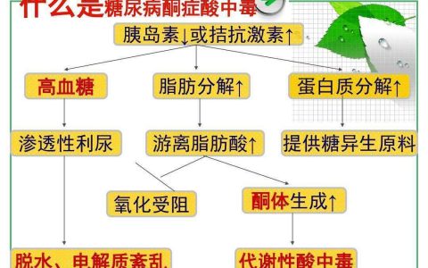 糖尿病酮症酸中毒的诊断与治疗