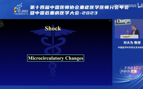 休克治疗的大循环与微循环-协和刘大为