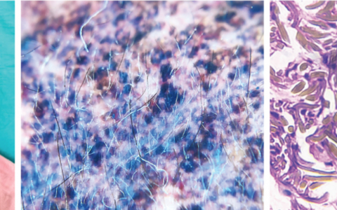 每日一题_2024.01.11