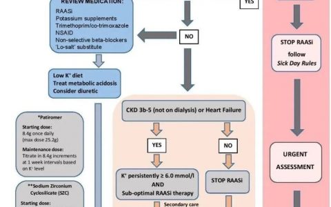 处理高钾血症-英国NICE指南