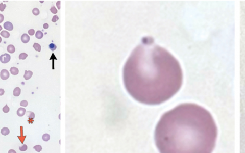 每日一题_2024.04.18