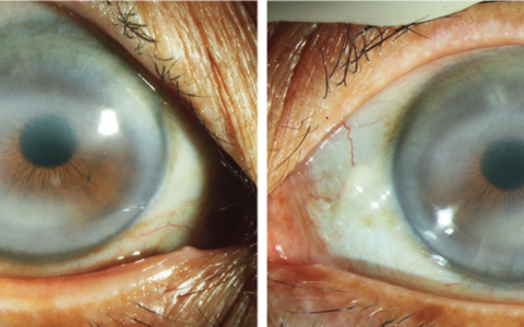 每日一题_2024.04.27