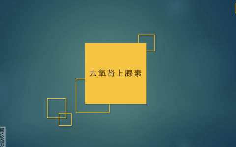 药理学：去加肾上腺素、间羟胺、去氧肾上腺素