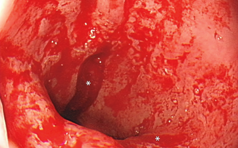 每日一题_2024.05.16