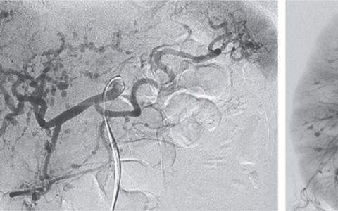 每日一题_2024.05.04