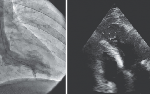 每日一题_2024.05.23