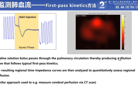 EIT用于监测肺血流