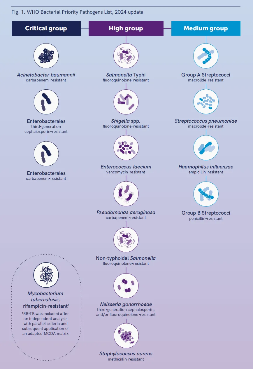 WHO更新2024最新版细菌类优先病原体清单