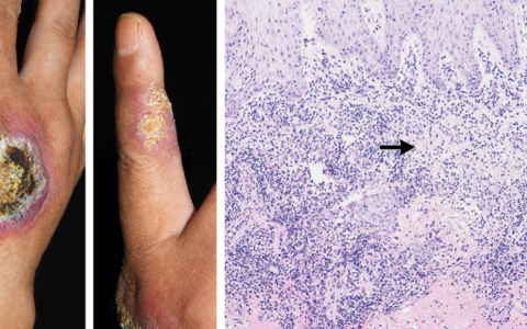 每日一题_2024.06.07