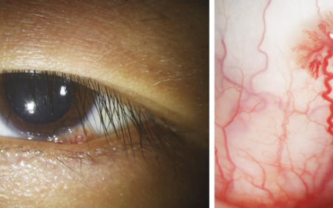 每日一题_2024.07.11