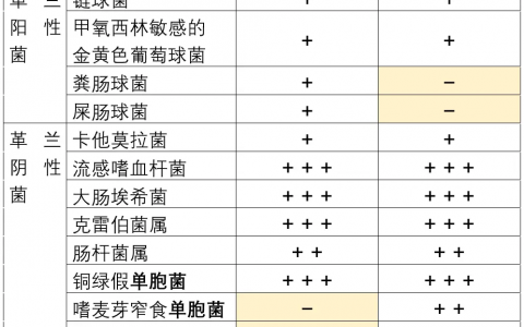 施毅教授：头孢哌酮舒巴坦和哌拉西林他唑巴坦有什么区别？