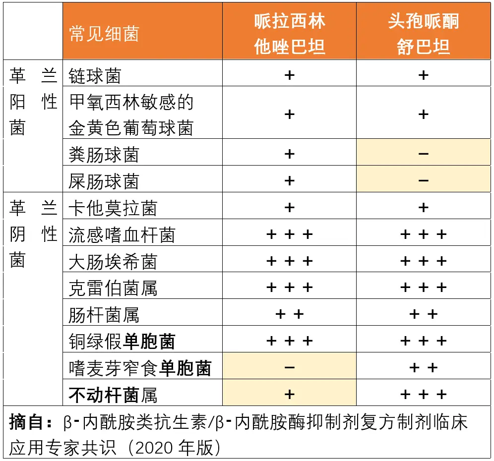 施毅教授：头孢哌酮舒巴坦和哌拉西林他唑巴坦有什么区别？