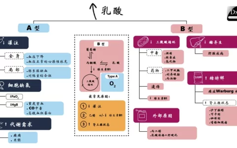 乳酸增高的流程图
