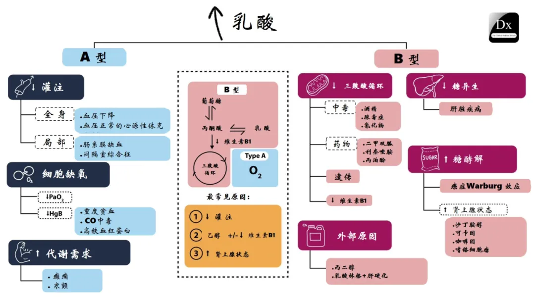 乳酸增高的流程图