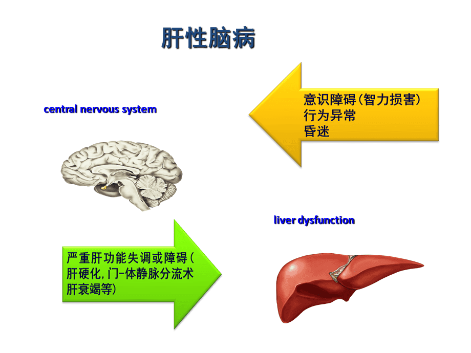 肝性脑病用药