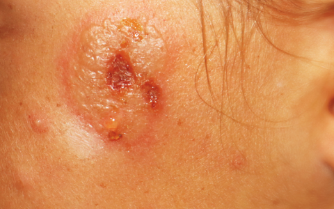 每日一题_2024.08.30