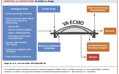 VA-ECMO一座桥梁