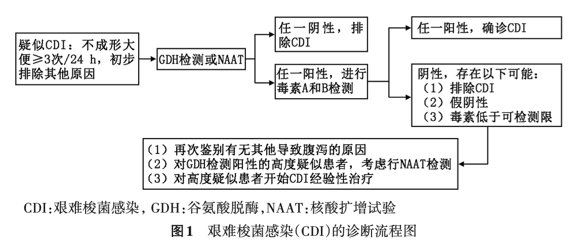 中国艰难梭菌感染诊治及预防指南2024