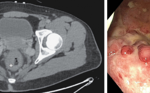 每日一题_2024.09.27