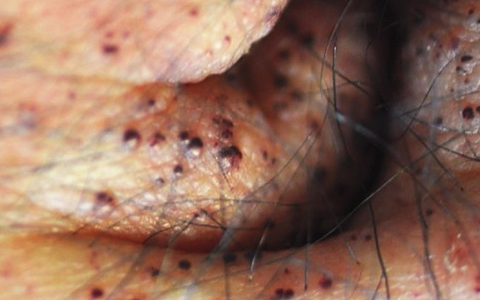 每日一题_2024.09.14