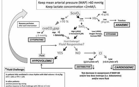  The carbon dioxide gaps