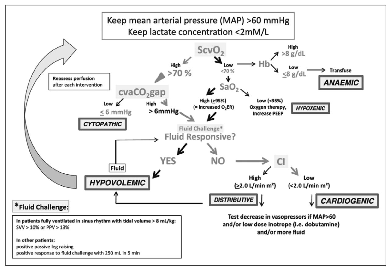  The carbon dioxide gaps