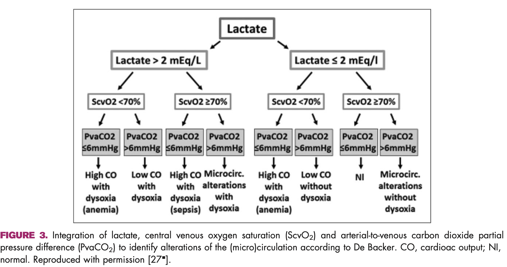  The carbon dioxide gaps