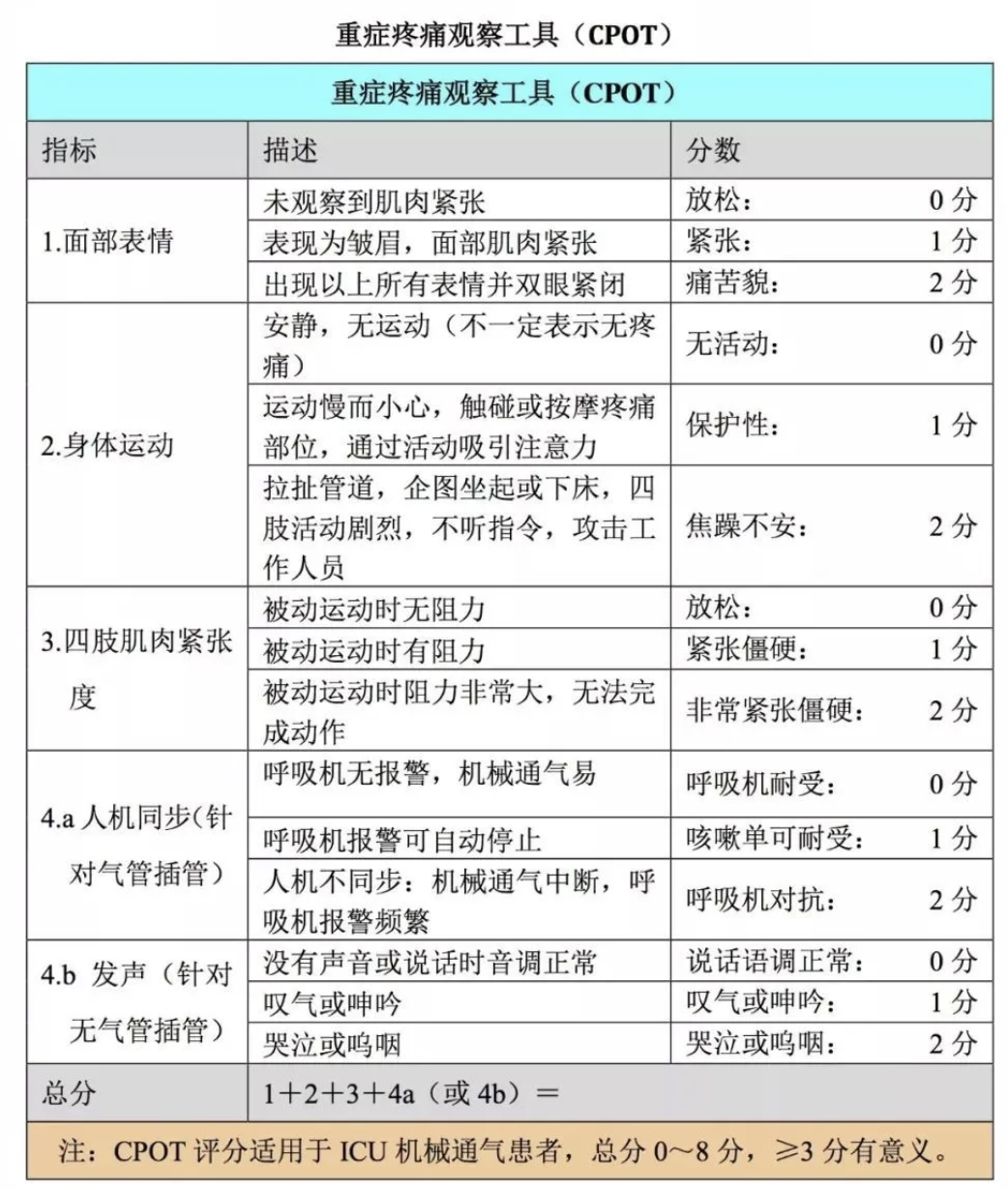 中大医院镇痛镇静专项规范技能培训_2024.10.29