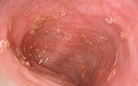 每日一题_2024.10.18