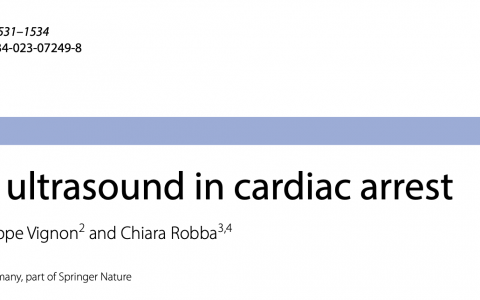 ICM:我如何在心脏骤停中使用超声