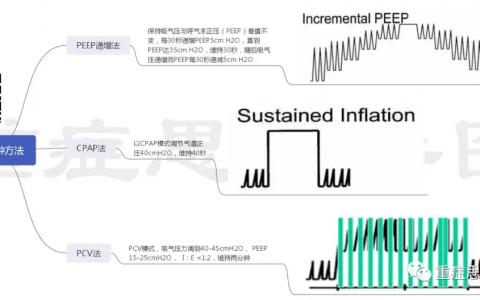 肺复张常见的方法