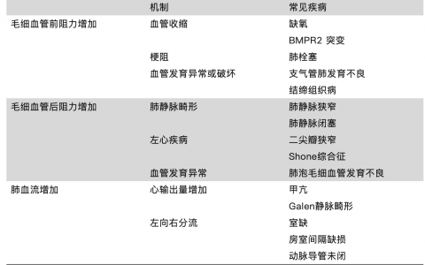 肺动脉高压的基本机制