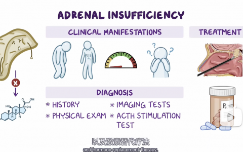 【Osmosis】：肾上腺皮质功能不全