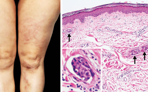 每日一题_2025.01.09