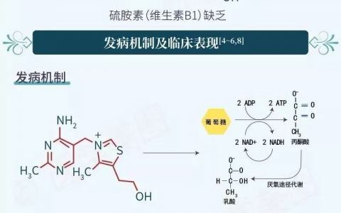 散发的“意识障碍”