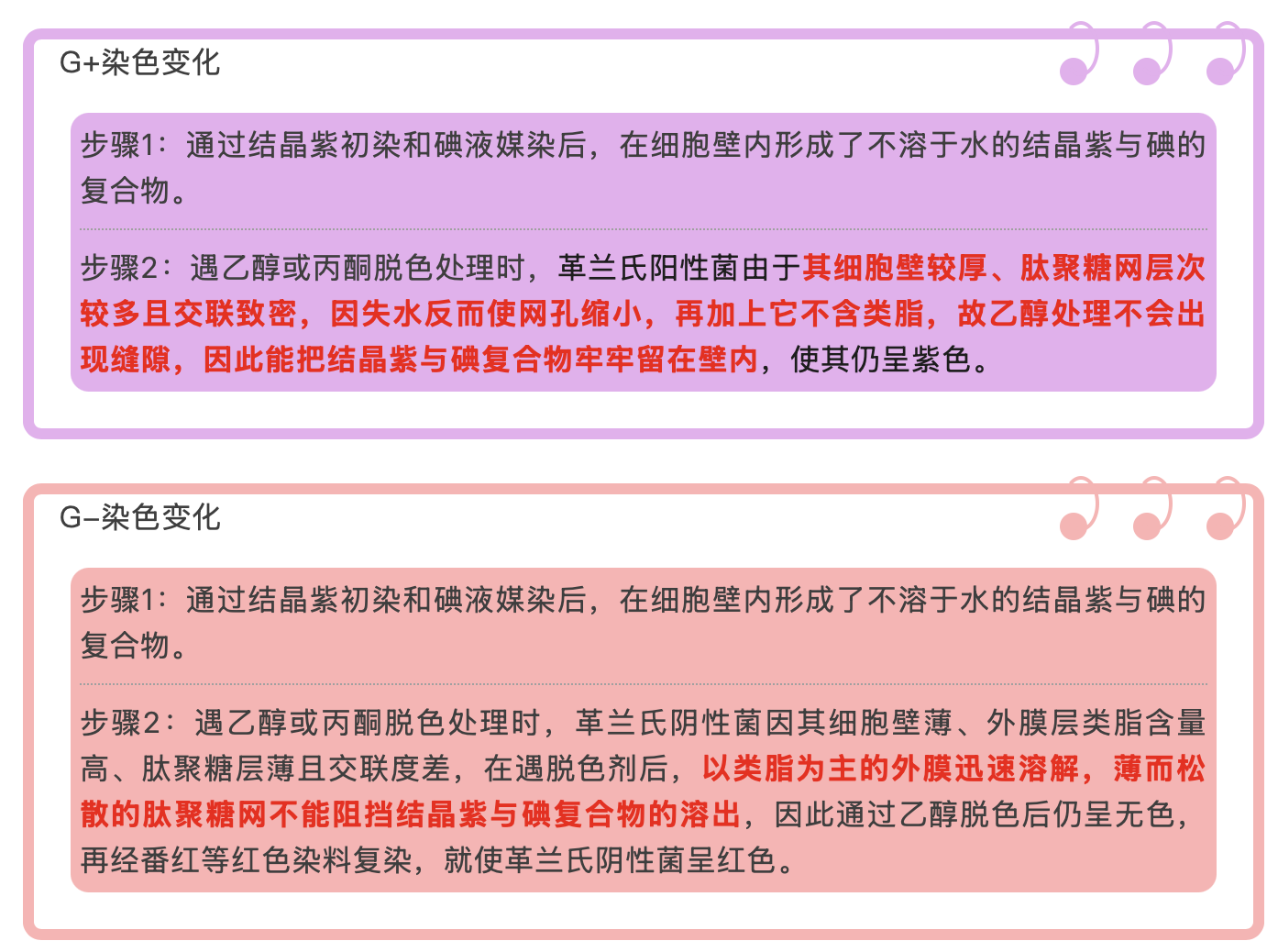 革兰氏阴性菌和阳性菌的分类和鉴定流程