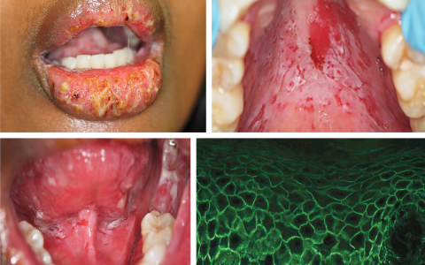 每日一题_2025.02.21
