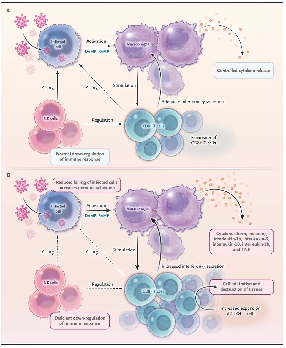 NEJM:噬血细胞综合征